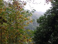 alazza201011105 083